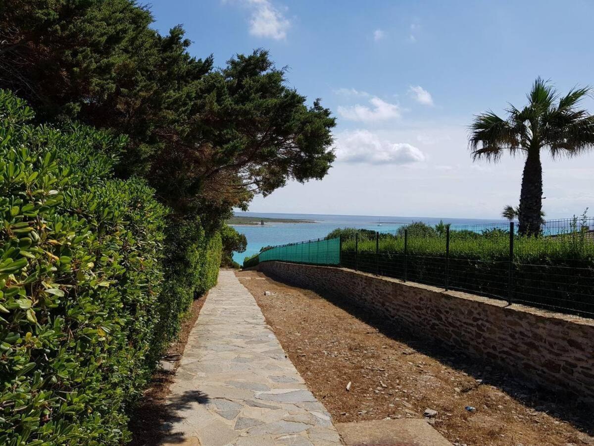 סטינטינו Pelosa - Capo Falcone Excellent Apartment מראה חיצוני תמונה
